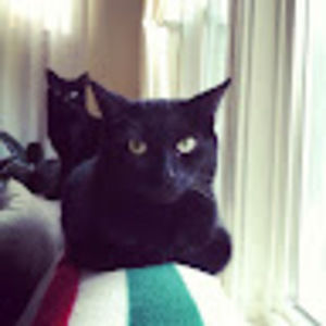 Meet your Posher, Monique